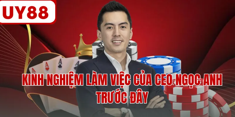 Kinh nghiệm làm việc của CEO Ngọc Anh trước đây Kinh nghiệm làm việc của CEO Ngọc Anh trước đây